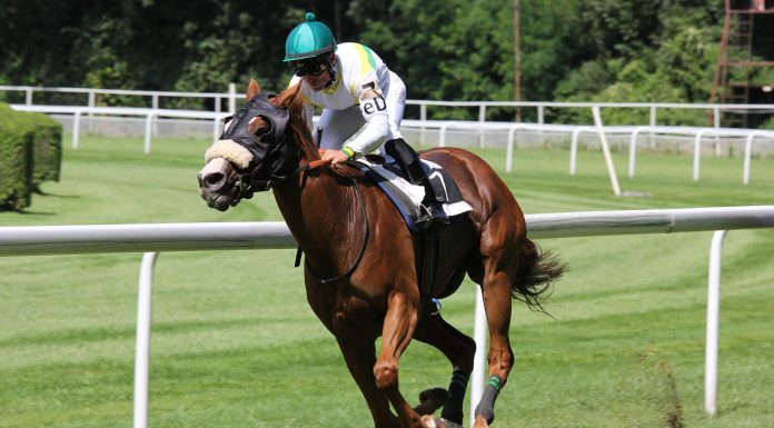 Best Sports Bloopers 2021 Funny Sport Fails Compilation